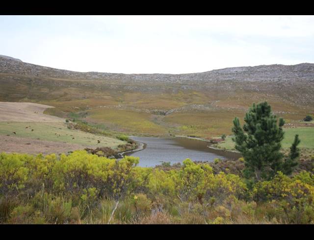 911HA FARM FOR SALE IN RIVERSDALE RURAL